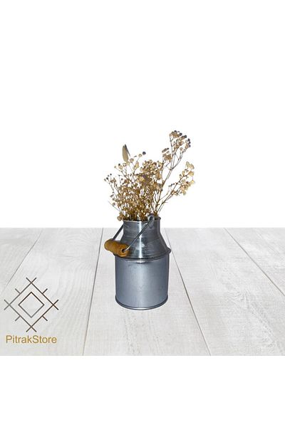 PitrakStore Galvanized Decorative Milk Jug, Milk Bowl