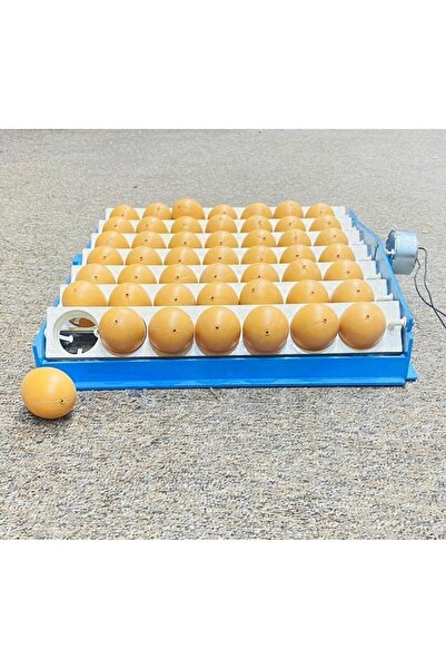 evcil sanal market 49'lu Otomatik Çevirme Viyolü (ZAMAN SAATSİZ MOTORLU)