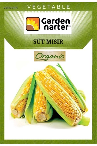 GARDEN NARTER Süt Mısır Tohumu Doğal Organik Tohum Pakette 10 gr 100 Tohum