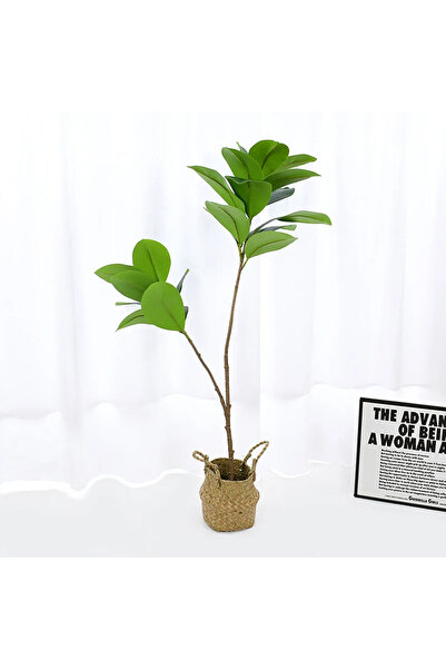Yapay Çiçek Deposu Yapay Ağac Kauçuk Bitkisi 2 Dallı 105 cm (Saksısız)