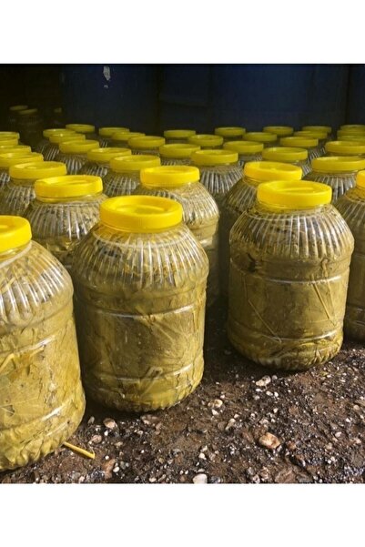 koyden gelen lezzetler 2022 Yeni Mahsul 5kg Manisa Turgutlu Salamura Sultaniye Üzüm Yaprağı