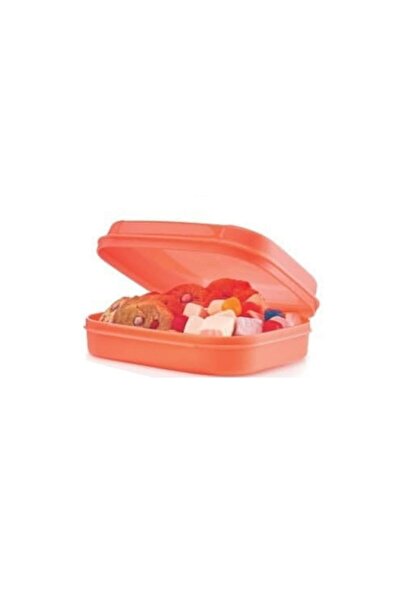 Tupperware Saklama Ve Beslenme Kabı Kurabiye Kutusu Turuncu Hsgl