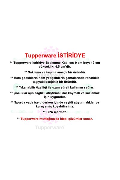 Tupperware İstiridye Küçük Boy 2'li Mini Saklama Kabı Hsgl