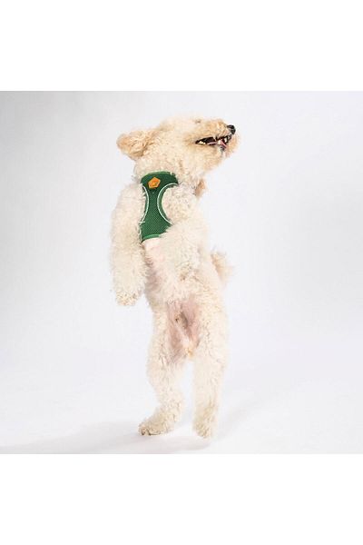 Pawstar Pine Green Air-mesh Chest Collar Cat Dog Chest Collar