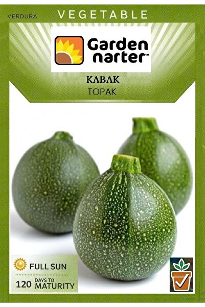 GARDEN NARTER Topak Kabak Tohumu Doğal Organik Tohum Pakette 20 Tohum