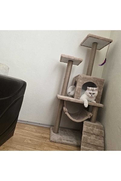 pethomealpi Cat Scratching House and Play Platform - Convenient Use