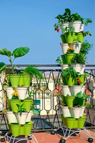 Gardina Fide Seti Maydanoz -kıvırcık Marul - Taze Soğan 15 Adet