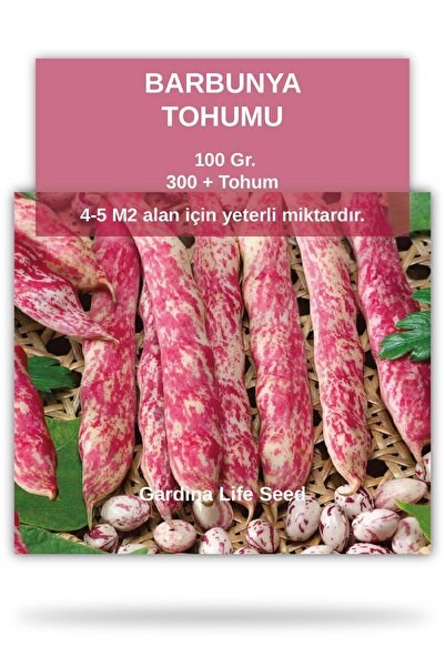 Gardina Barbunya Tohumu 100 gram 300 Tohum
