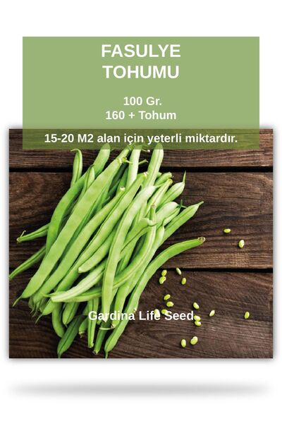 Gardina Taze Fasulye Tohumu Oturak 100 gram ( 40 Günlük )