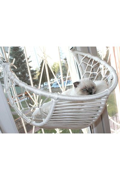 lüxperi Cat Glass Bed & Suction Cup Glass Bed & Cat Window Bed
