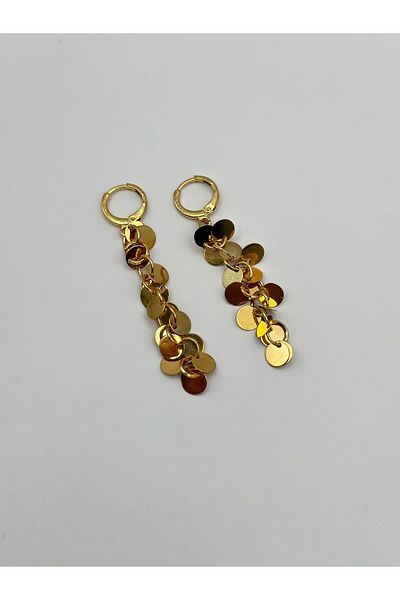 Arnes Jewelry Sequin Steel Earrings - Dangle Design