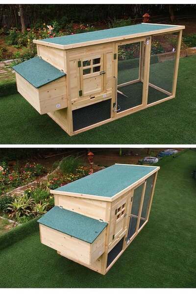 kemirgen market Woodzanya Ford Tavuk Kümesi