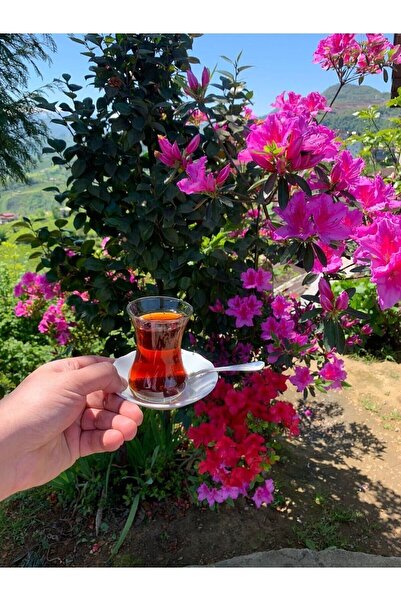 ÇAYTAŞÇAY 40 gr 5 Kg Diamond Demlik Poşet Çay