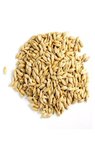 Mahalle Bakkalı Doğal Tane Arpa Tohumu Yemlik 5 kg