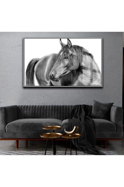 Harika bir ev HARİKABİREV | CAL NEGRU - TABLA CALURI NEGRE, ALBE ȘI PENTRU NE...