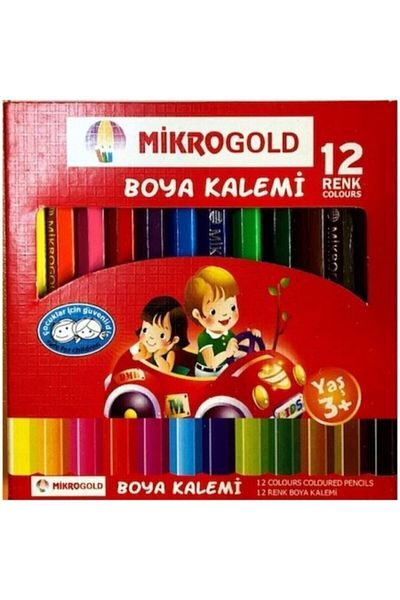 MİKROGOLD 12 Pieces Dry Paint Short Size