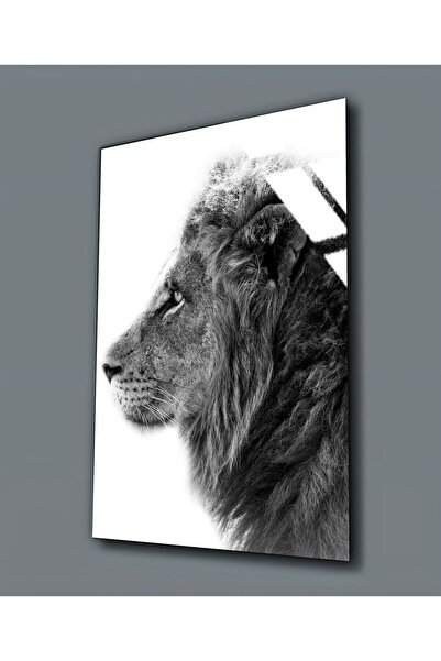 Harikabirev HARİKABİREV | STICLA INERABLE (TEMPERATA) TABLA LEU GRAY-ALB 001 ...