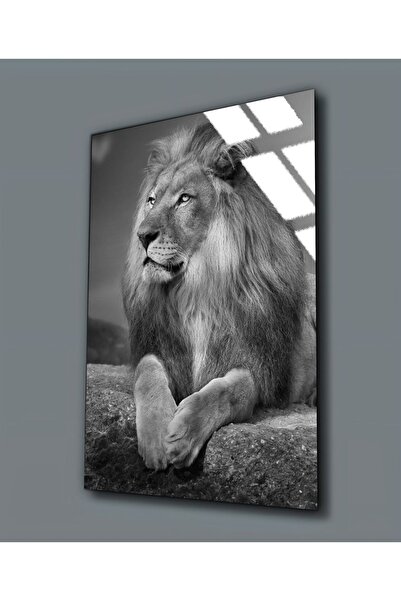 Harika bir ev ΧΑΡΙΚΑΜΠΙΡΕΒ | ΑΝΘΕΚΤΙΚΟ ΓΥΑΛΙ (ΣΚΛΗΡΥΜΕΝΟ) ΠΙΝΑΚΑΣ ΑΣΛΑΝ 02 | ...