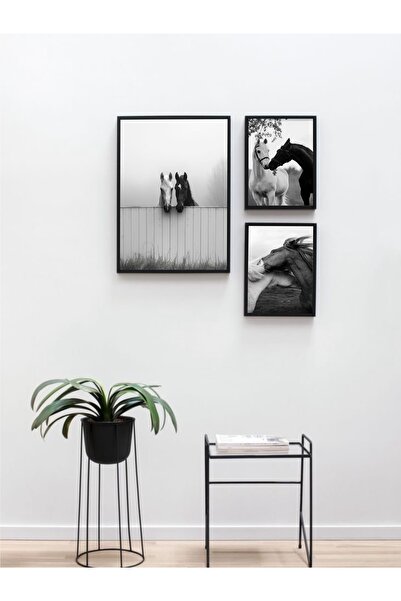 Hediye köşem Ahşap çerçeve şeffaf PVC koruyuculu at temalı 3 lü set duvar tab...