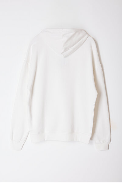 Trendyol Collection Флісовий світшот з вишитим вовком з капюшоном Regular Fit TMNAW24SW00018