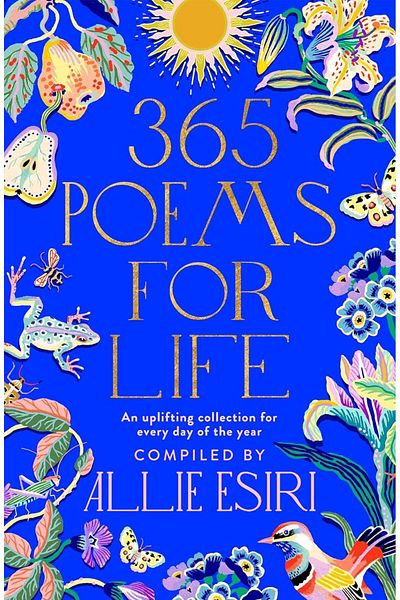 Bluebird Books أقلام الجري الطويلة رقم 365 - كل يوم في السنة