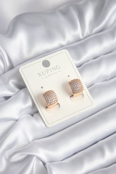 Skygo Shopzum Xuping - Dense Zircon Stone Women's Earrings