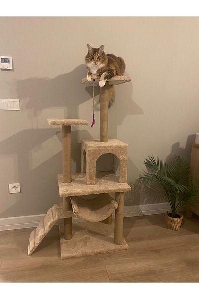 pethomealpi Luxury Cat Scratching House and Play Platform - with Hammock and Nest