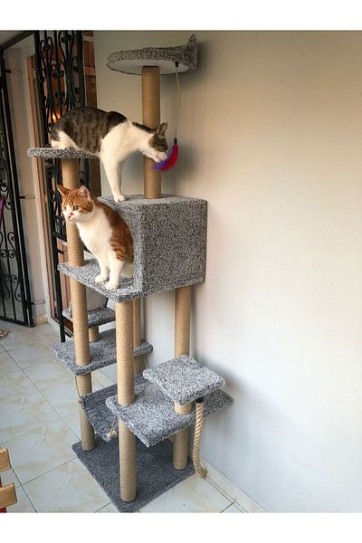 pethomealpi Luxury Cat Scratching House and Play Platform - with Hammock and Nest