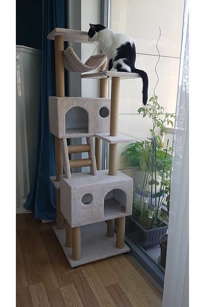 pethomealpi Luxury Cat Scratching House and Play Platform - with Hammock and Nest