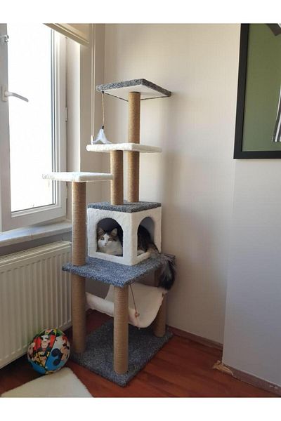pethomealpi Luxury Cat Scratching House and Play Platform - with Hammock and Nest