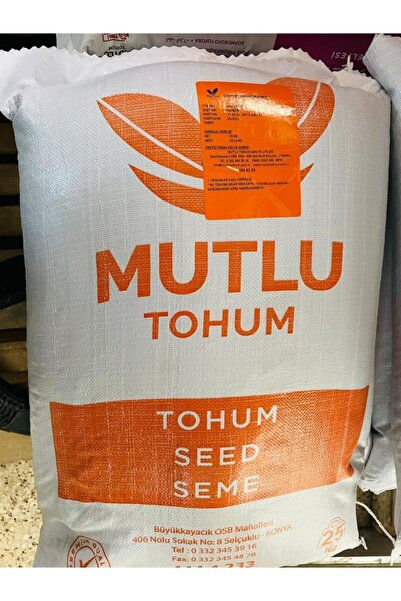 MUTLU TOHUM Macar Fiğ Tohumu Kansur 25kğ Fii Tohumu Fig Tohum Yem Bitkisi Tohumları Tohum