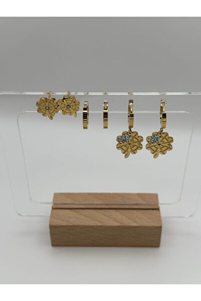 Arnes Jewelry Çelik Zirkon Taşlı Yoncalı 3 Çift Set Küpe