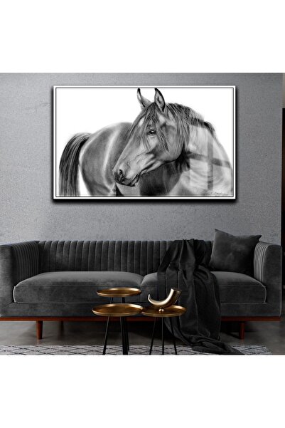 Harika bir ev HARİKABİREV | CAL NEGRU - TABLA CALURI NEGRE, ALBE ȘI PENTRU NE...