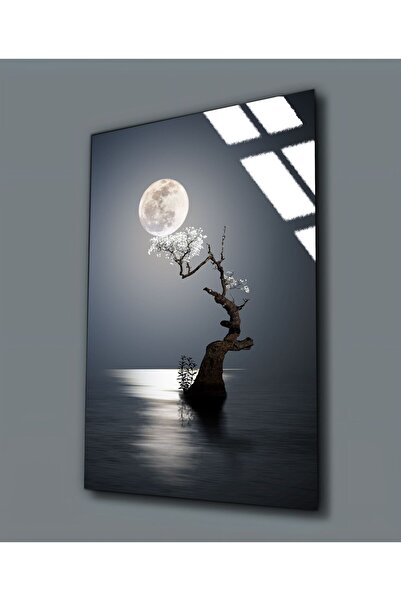 Harikabirev HARİKABİREV | PIEȚĂ DE STICLA (TEMPERATĂ) DOLUNAY PEISAJ | TMTEKLİ