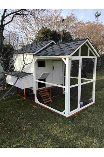 kemirgen market Premium Ahşap Tavuk Kümesi