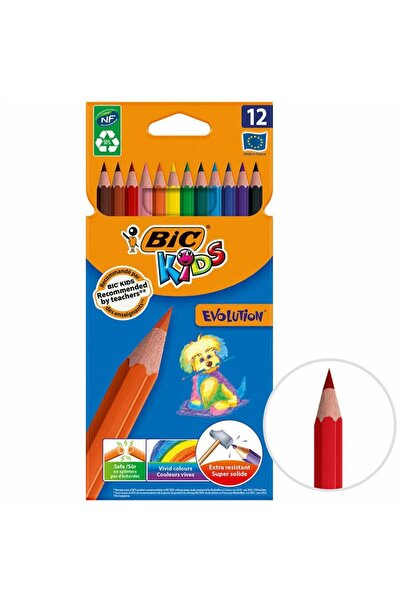 Bic Bi̇c Kuruboya Evolution 12 Color Pack