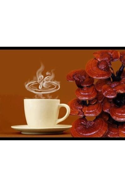 GanoExcel Gano Excel Rooibos Çay Organik