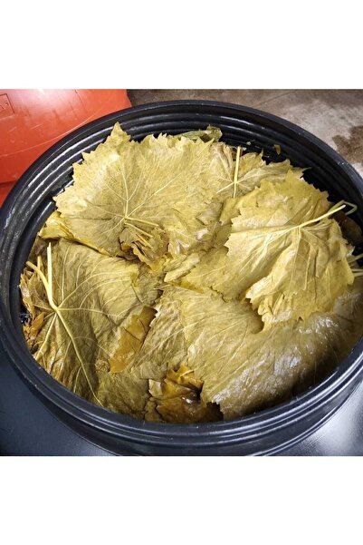 Genel Markalar Sarmalık Alaşehir Taze Yaprak Salamura 5 kg 1 tane