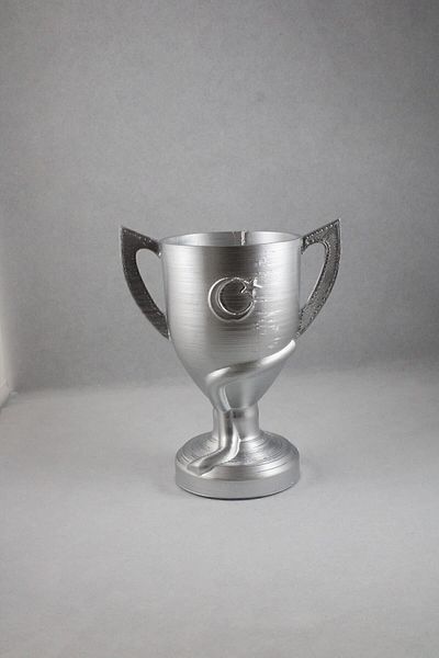 BZ TEKNOLOJİ 3D Διακόσμηση δώρου Ziraat Türkiye Cup 20 cm Μεταλλικό Ασημί Χρώμα