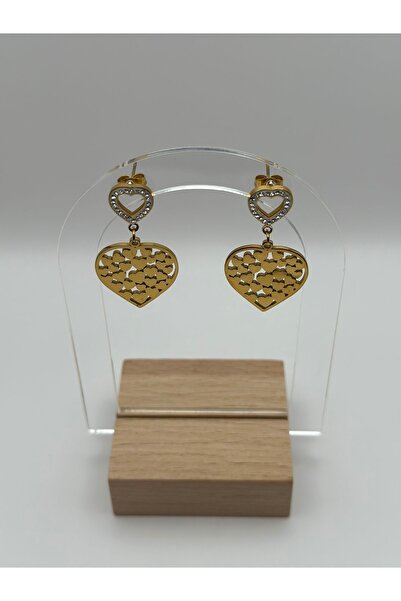 Arnes Jewelry Steel Dangle Zircon Stone Heart Earrings