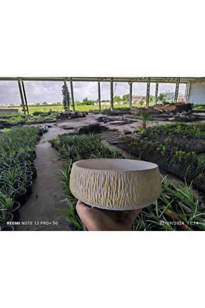 Genel Markalar Kırçıllı taş Orkide bonsai ve aranjman saksısı no 1