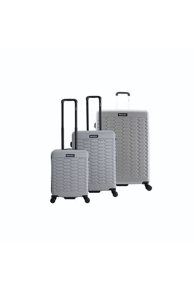Discovery Reptile ABS Set, TSA Lock, Expandable, 4 Double Wheels, 3pcs (20+24+28 Inch) Silver