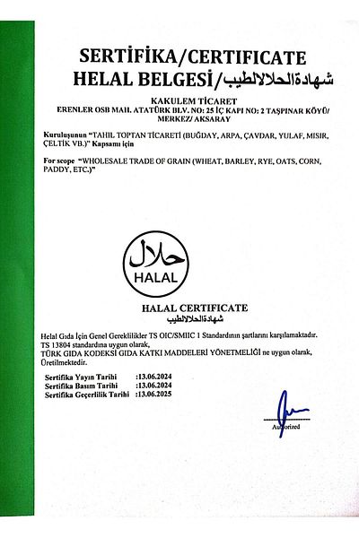 Kakulem Raw Pumpkin Seeds from Nevsehir - Certified, Domestic, 1 kg