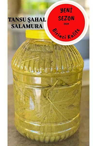 TANSU ŞAHAL SALAMURA ASMA YAPRAĞI