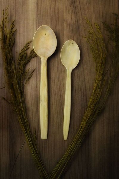 TROYAN 1868 2 Pieces Natural and High Quality Genuine Boxwood Spoon 27 and 24 Cm Wooden Spoon Set