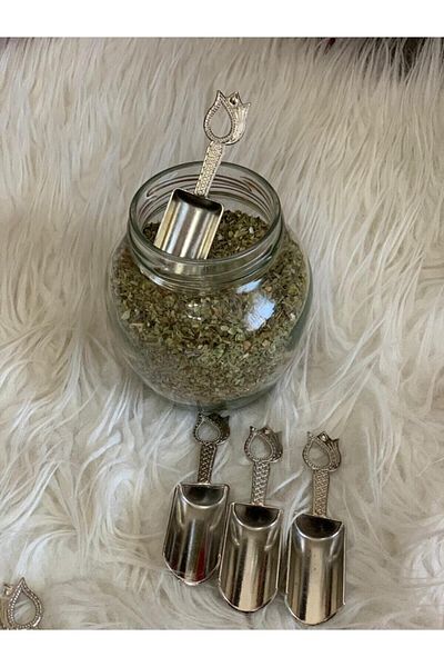 BUSRA'S HOME Set of 6 Silver Measuring Spoons