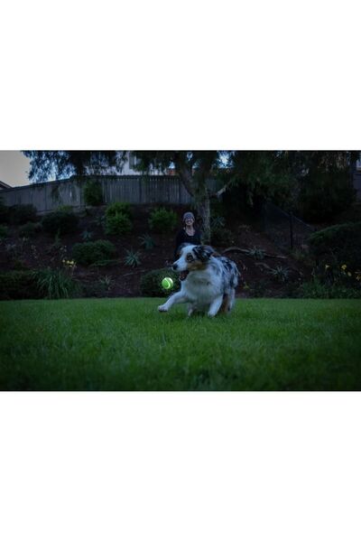 Genel Markalar Max Glow Ultra Squeaker Gece Parlayan Sesli Köpek Oyun Topu