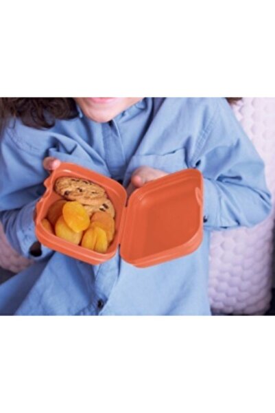 Tupperware İstiridye Pembe Beslenme Kutusu