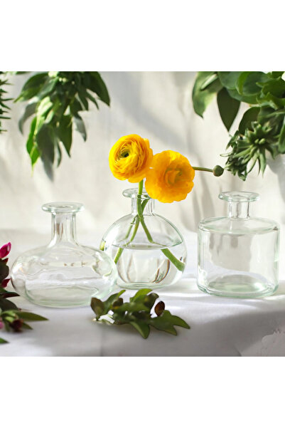 Binbirdemet Segona Mini 3lü Cam Vazo Seti - Şeffaf