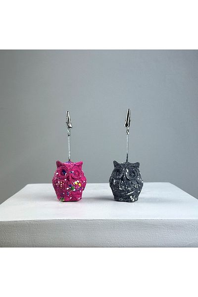 oasis decoration Owl Splash 2 Piece Note Holder Set